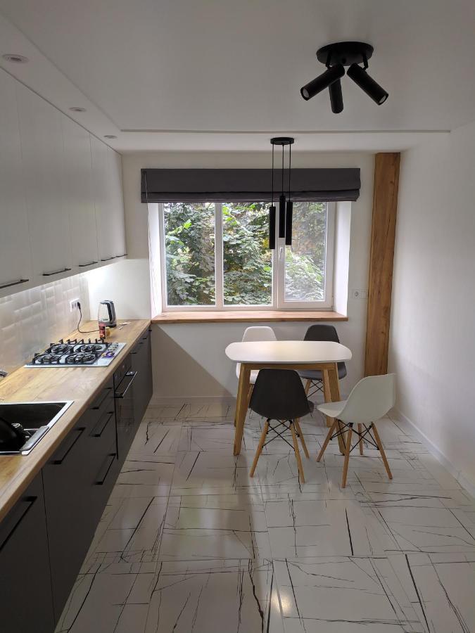 Cozy 75 Apart In Center - 2Х Кімнатна Квартира В Центрі Кропивницького クロプィウヌィーツィクィイ エクステリア 写真